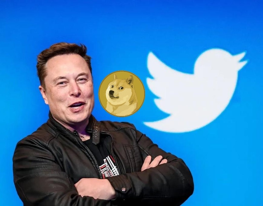 Memecoin dong loat tang gia khi Elon Musk so huu Twitter hinh anh