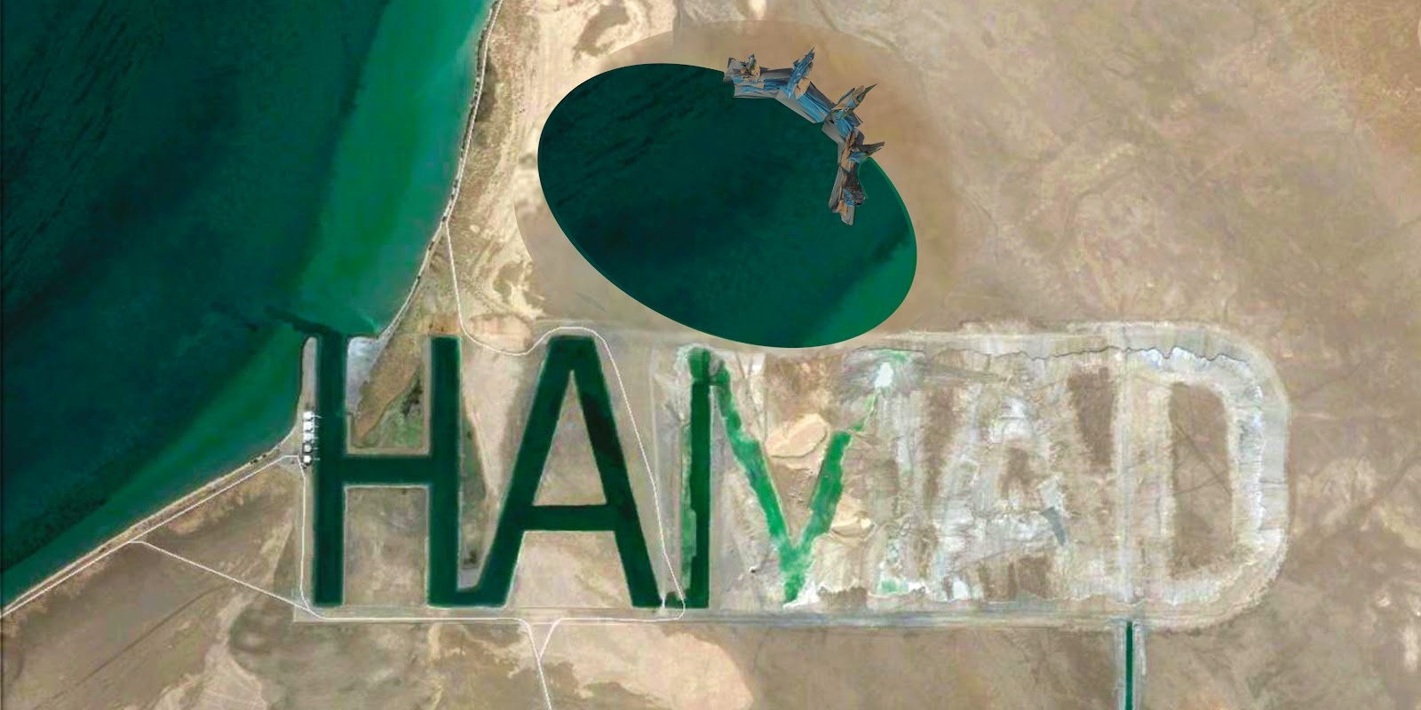 Nguoi giau tieu tien the nao anh 1