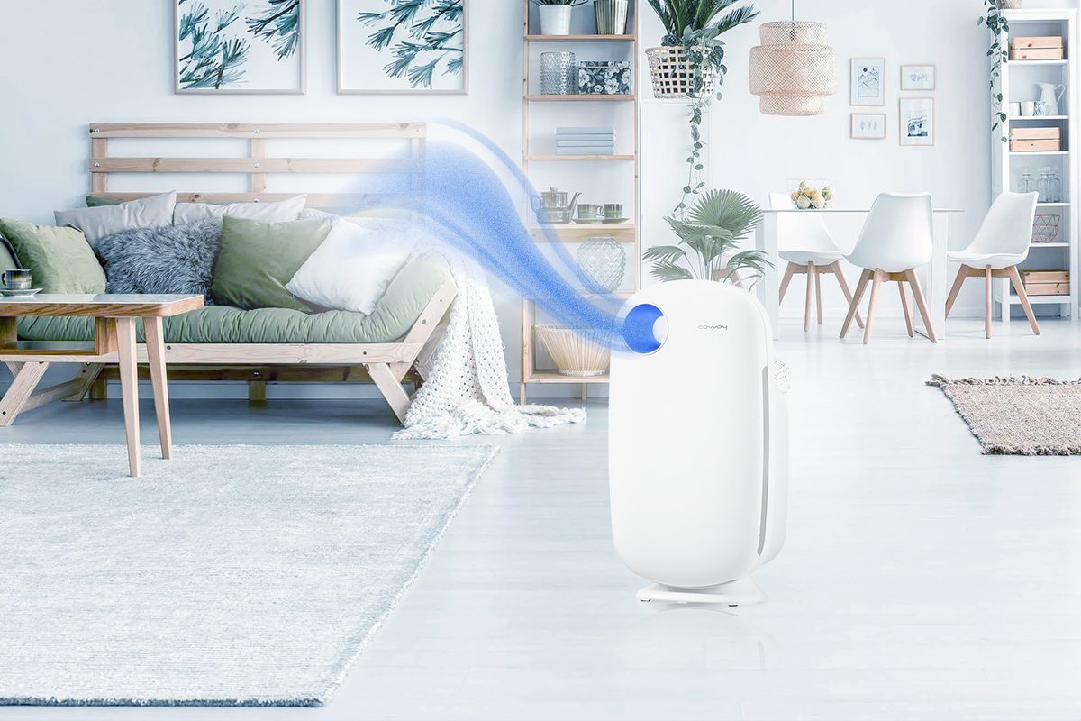 Zing Best Choice anh 10