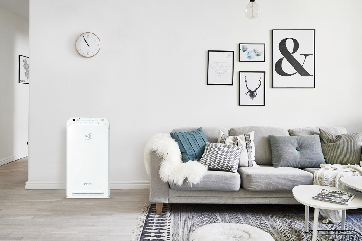 Zing Best Choice anh 4