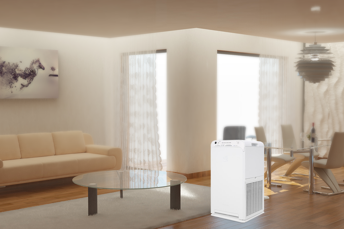 Zing Best Choice anh 5