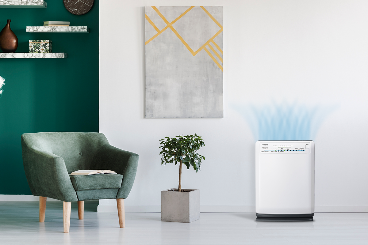 Zing Best Choice anh 9