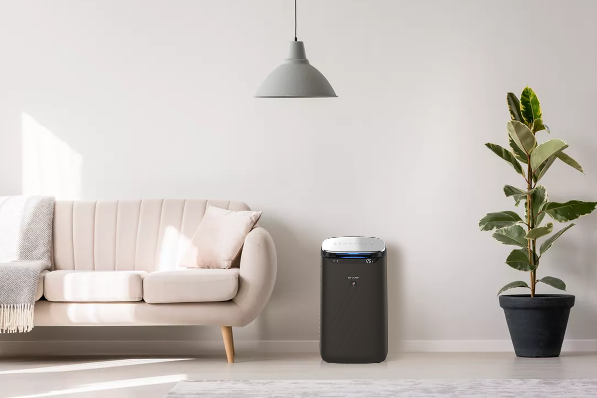 Zing Best Choice anh 2