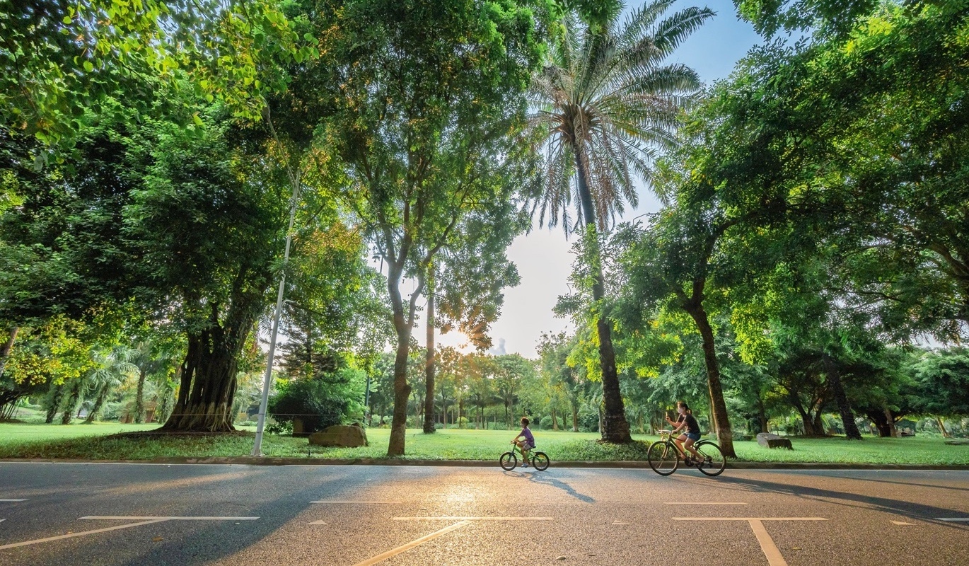 Khu do thi 1 trieu cay xanh Ecopark len bao My hinh anh