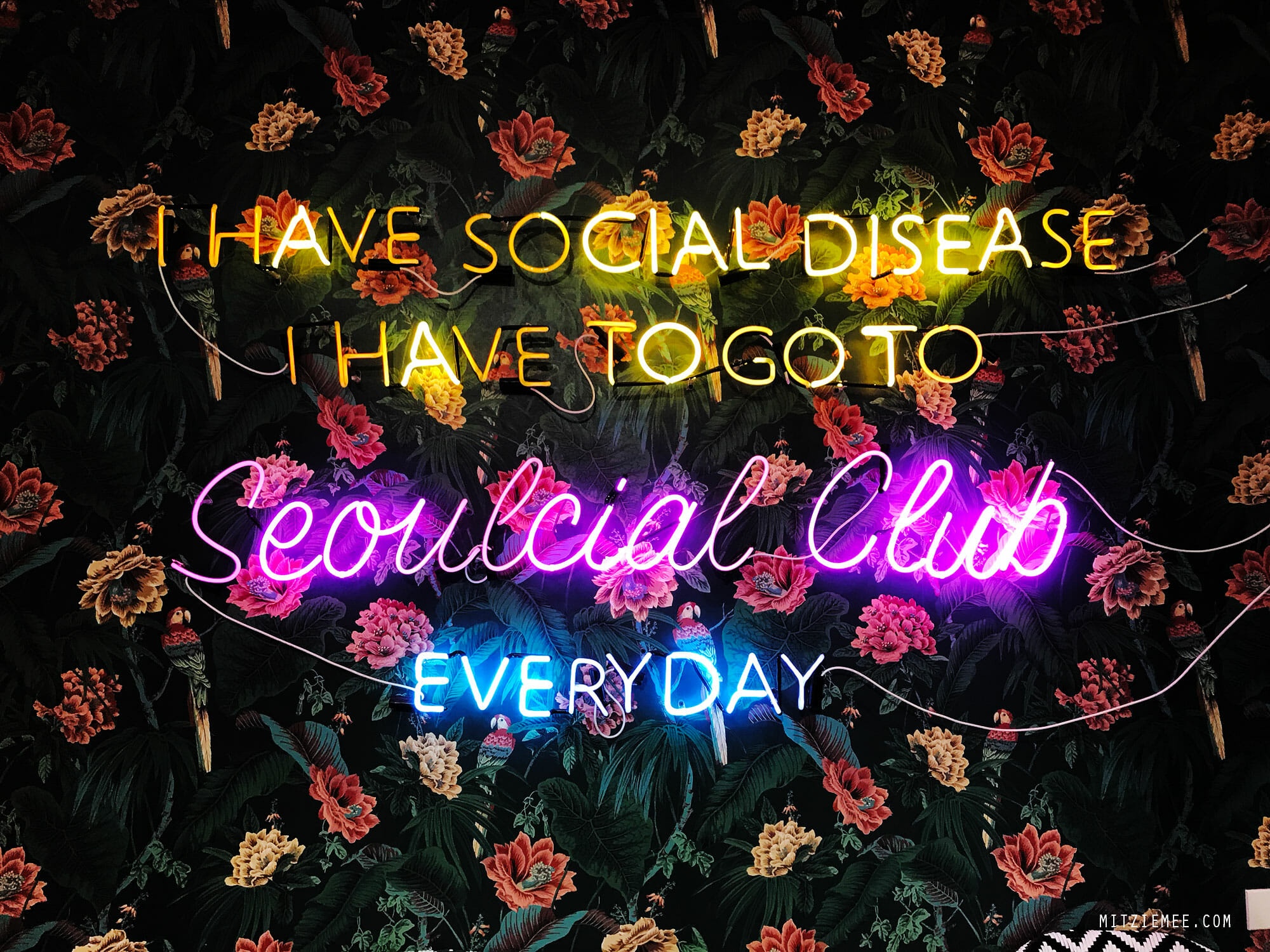 Thái Lan ảnh 19 Thai Lan anh 19