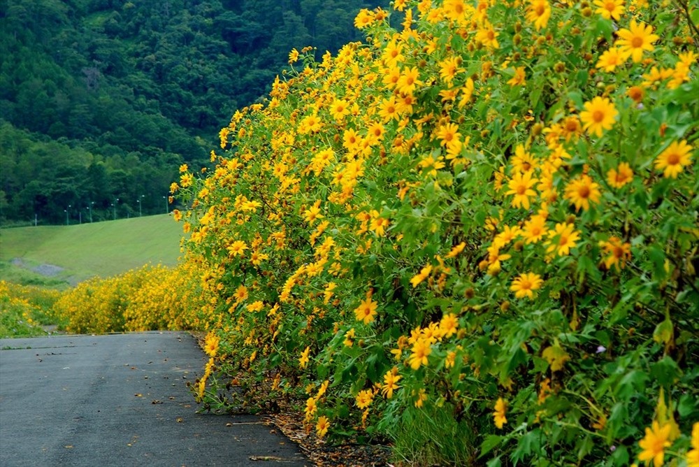 Hà Nội ảnh 1 Ha Noi anh 1