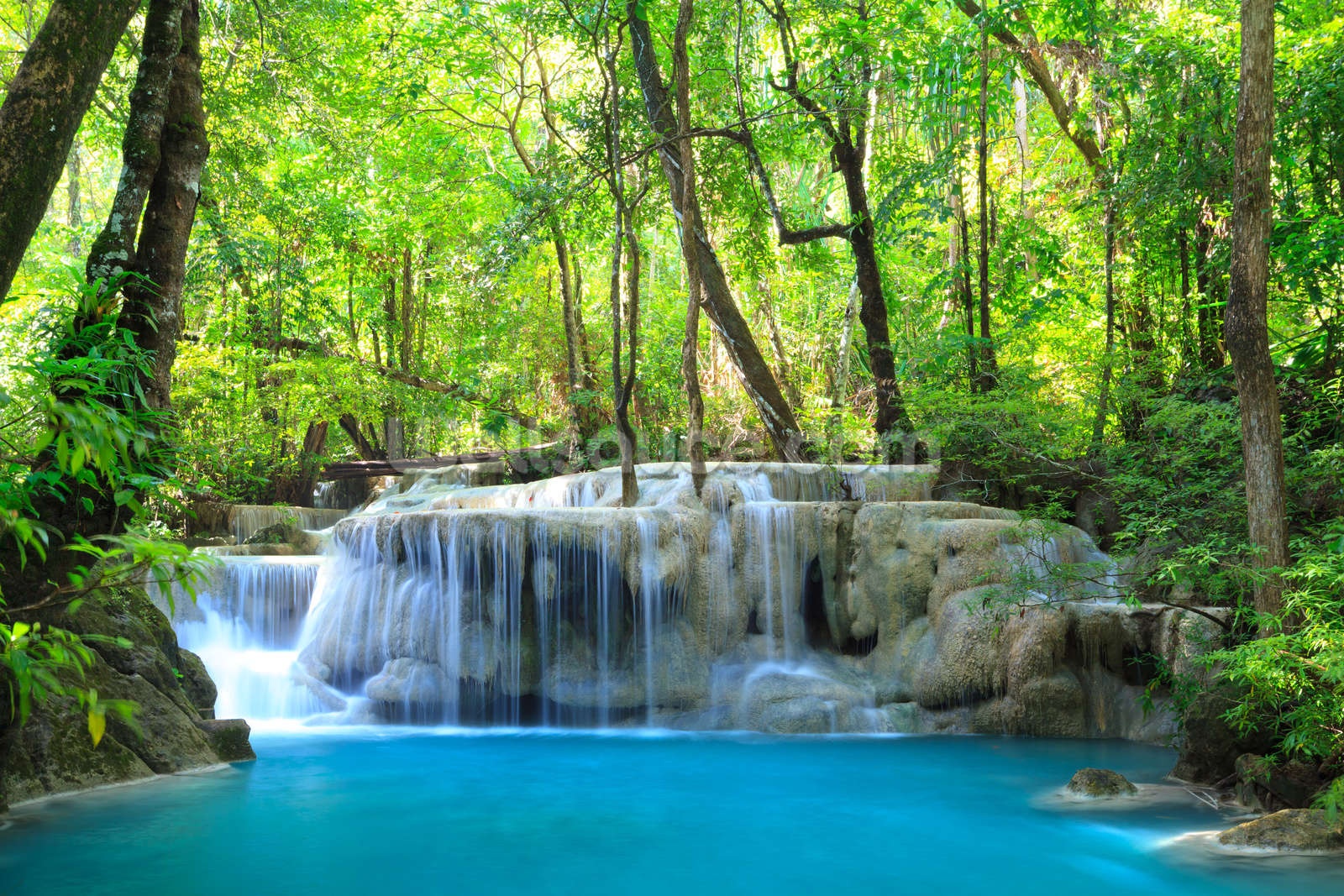 Thái Lan ảnh 5 Thai Lan anh 5