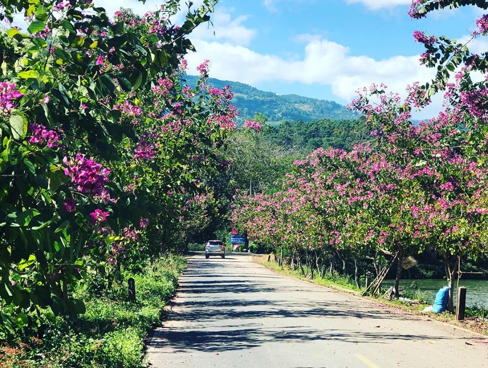 Thái Lan ảnh 16 Thai Lan anh 16