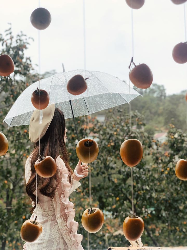 Check-in vuon hoa anh 14