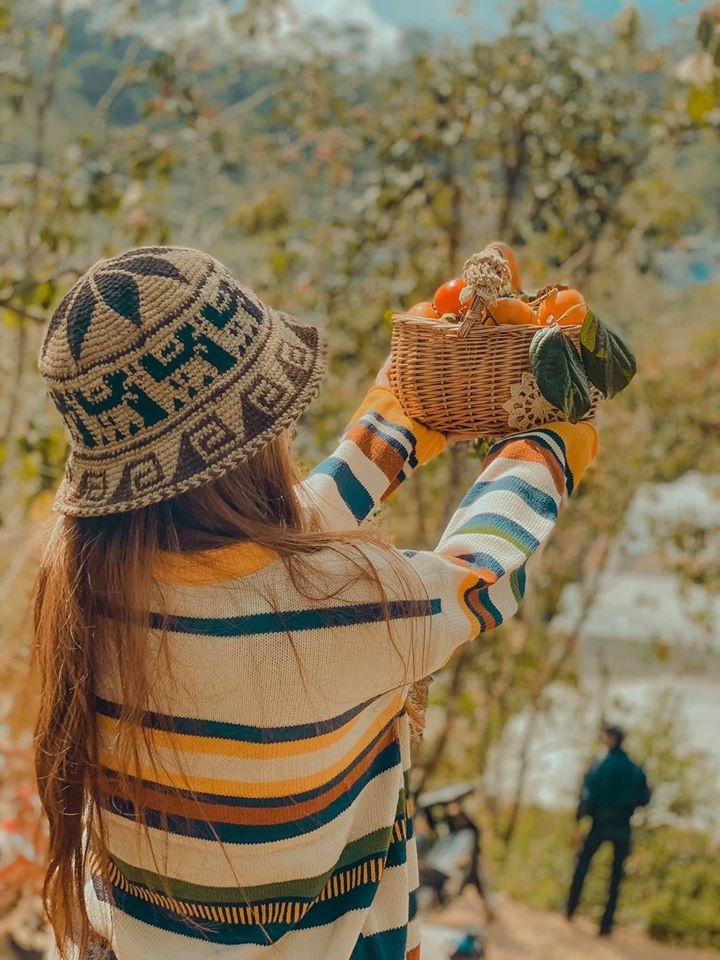 Check-in vuon hoa anh 15