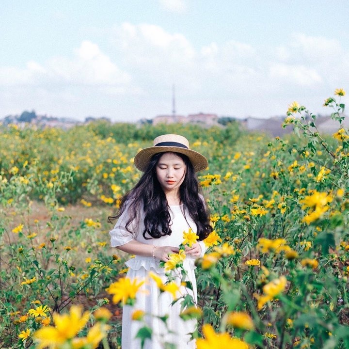 Check-in vuon hoa anh 11