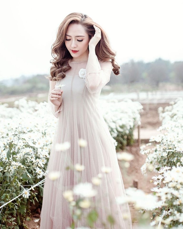 Check-in vuon hoa anh 1