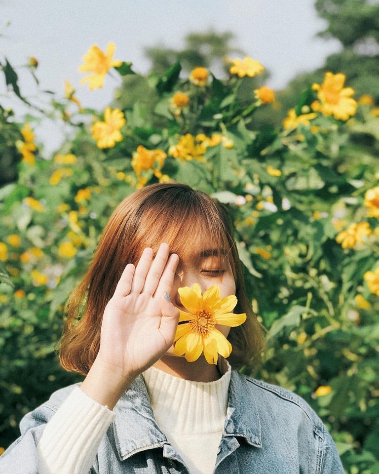 Check-in vuon hoa anh 6