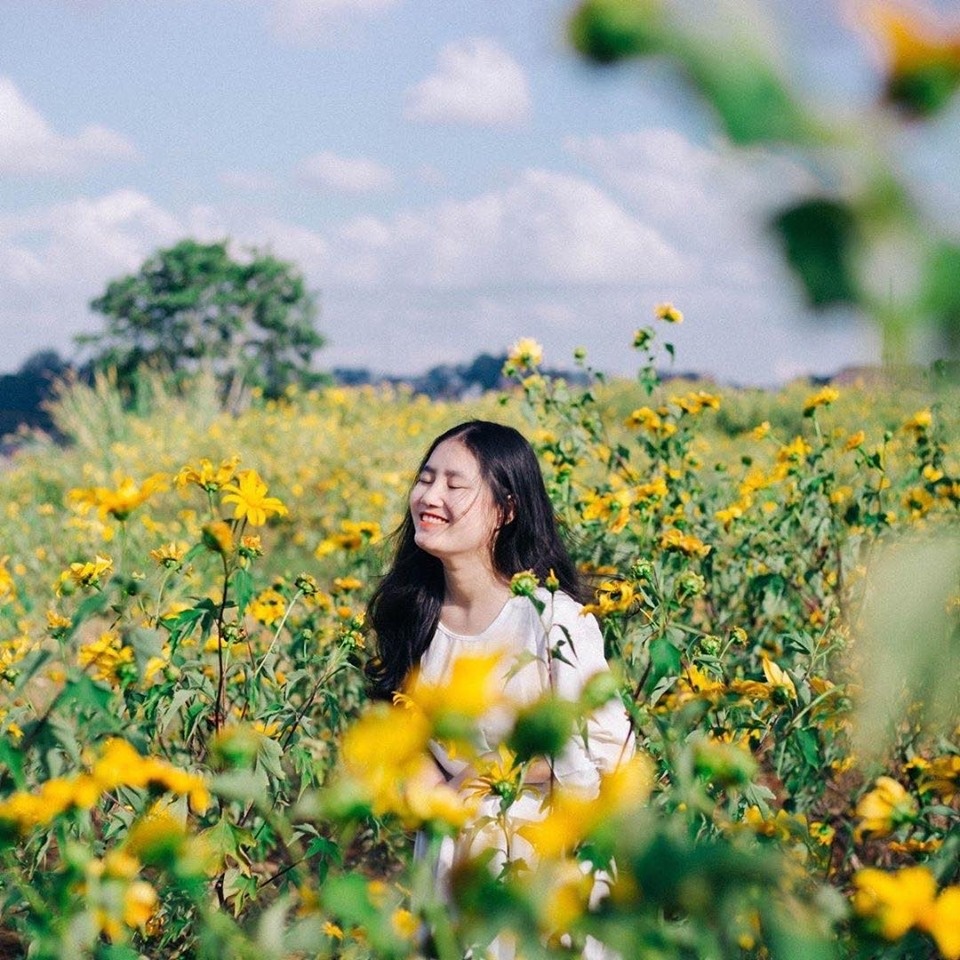 Check-in vuon hoa anh 12