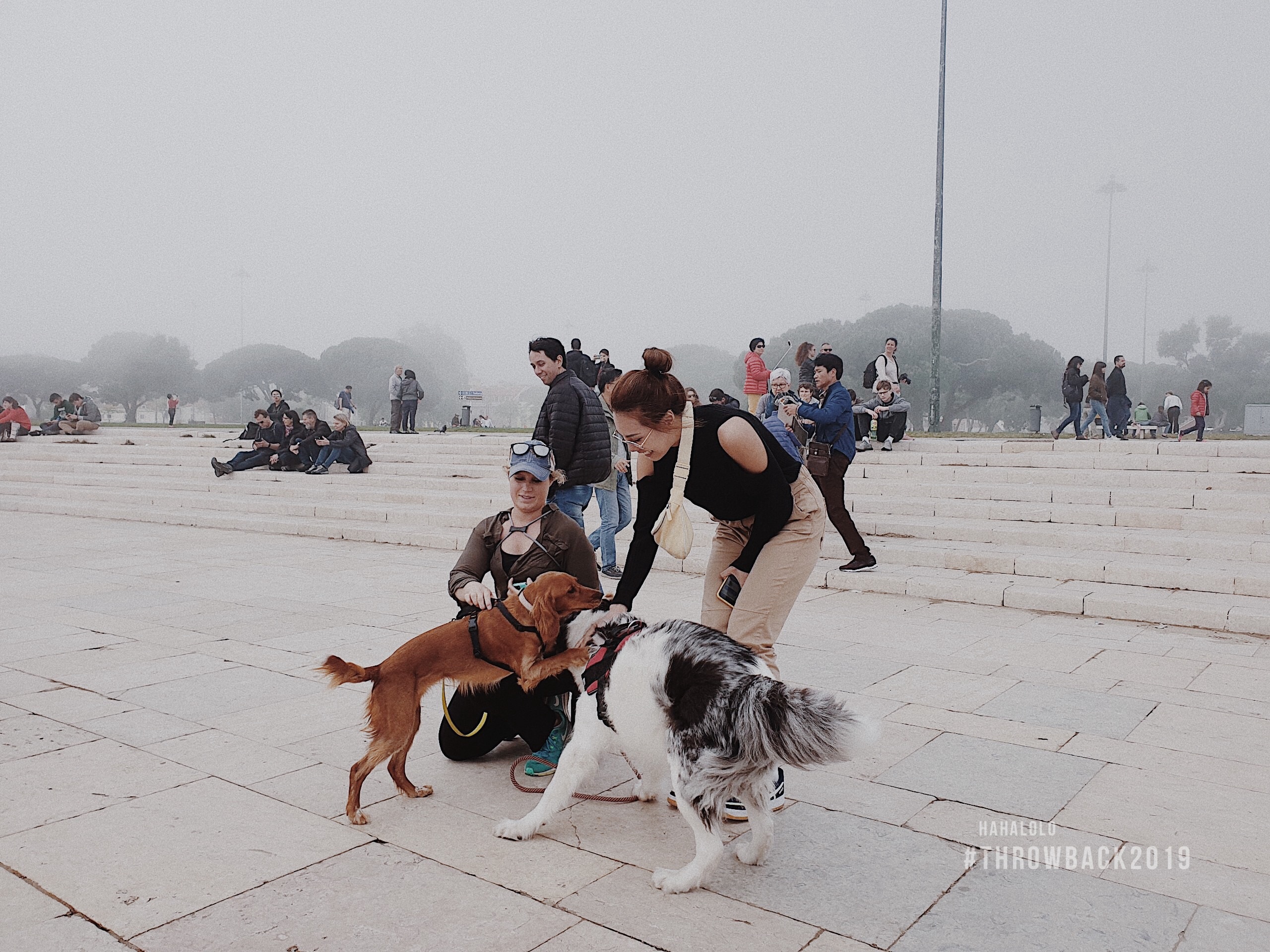 Throw Back 2019 anh 5