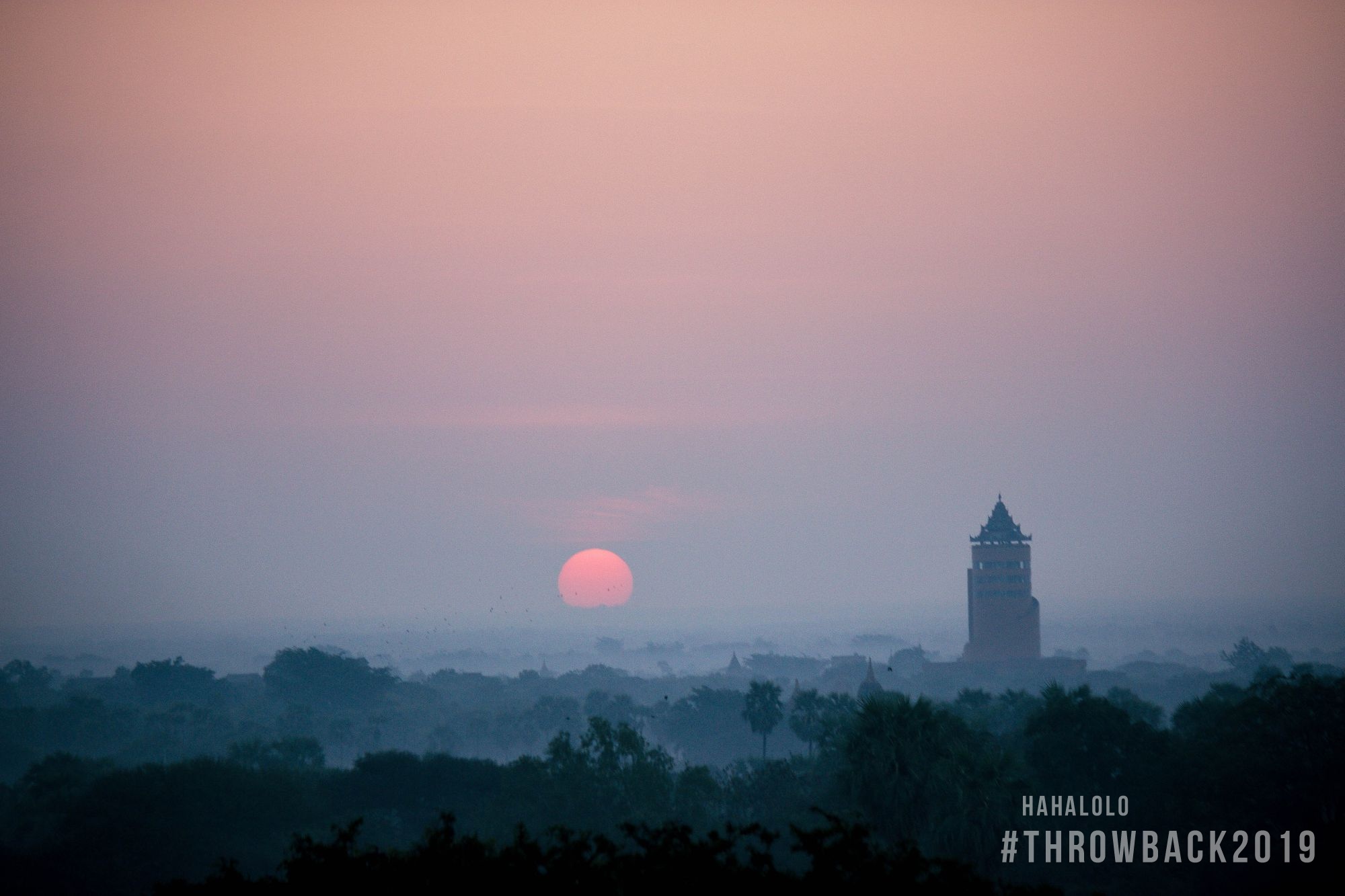 Throw Back 2019 anh 3