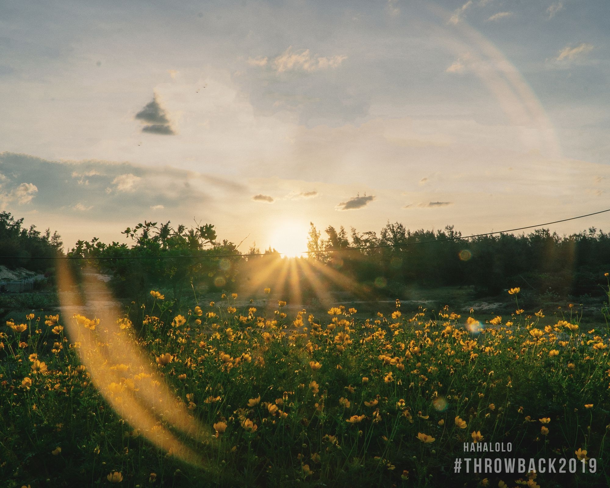 Throw Back 2019 anh 9