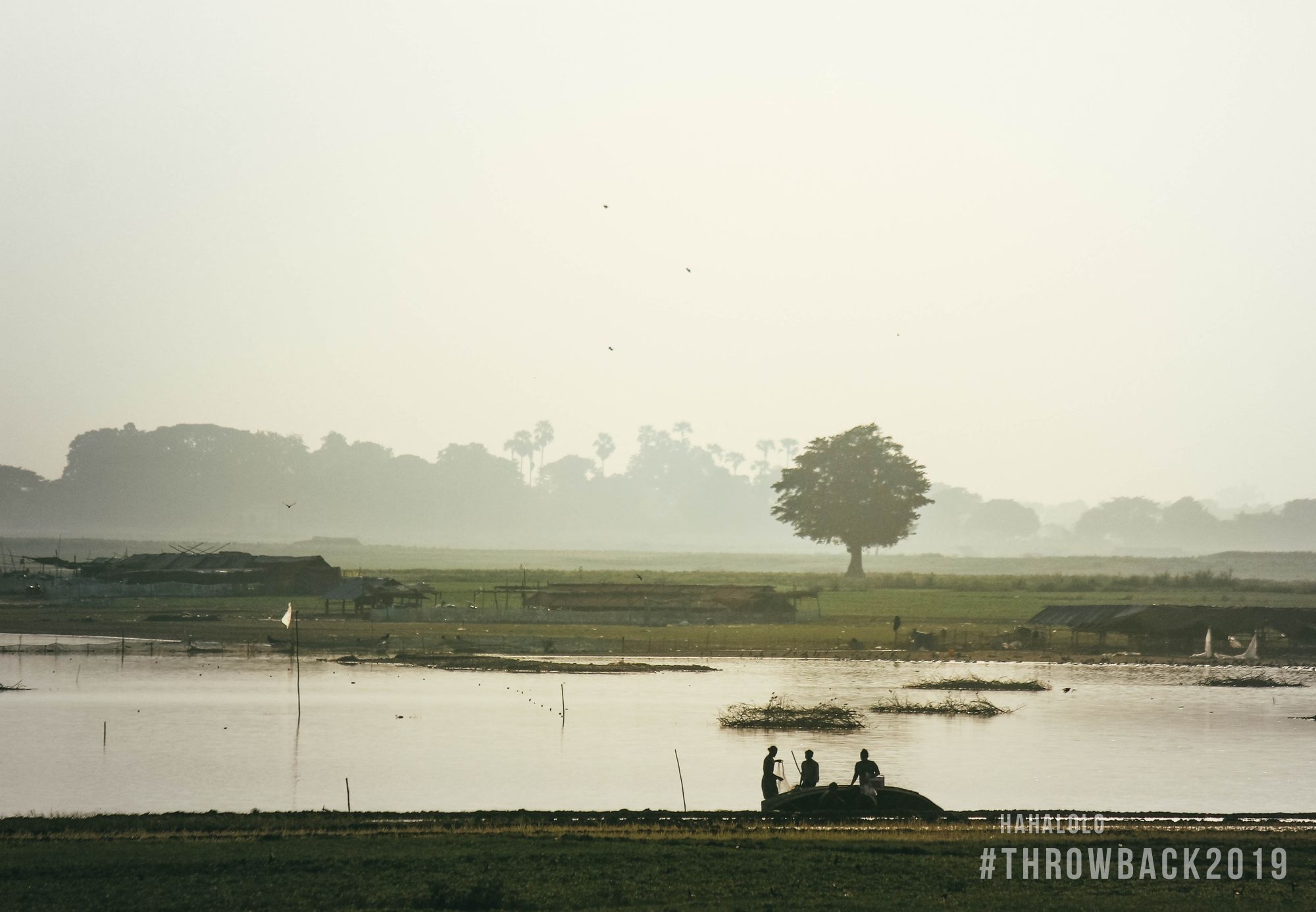 Throw Back 2019 anh 4