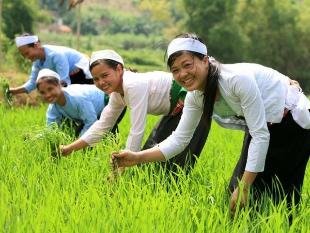 Tết Âm lịch ảnh 4 Tet Am lich anh 4