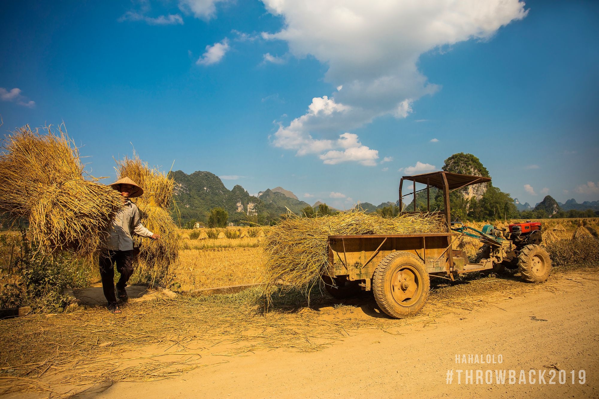 Throw Back 2019 anh 14