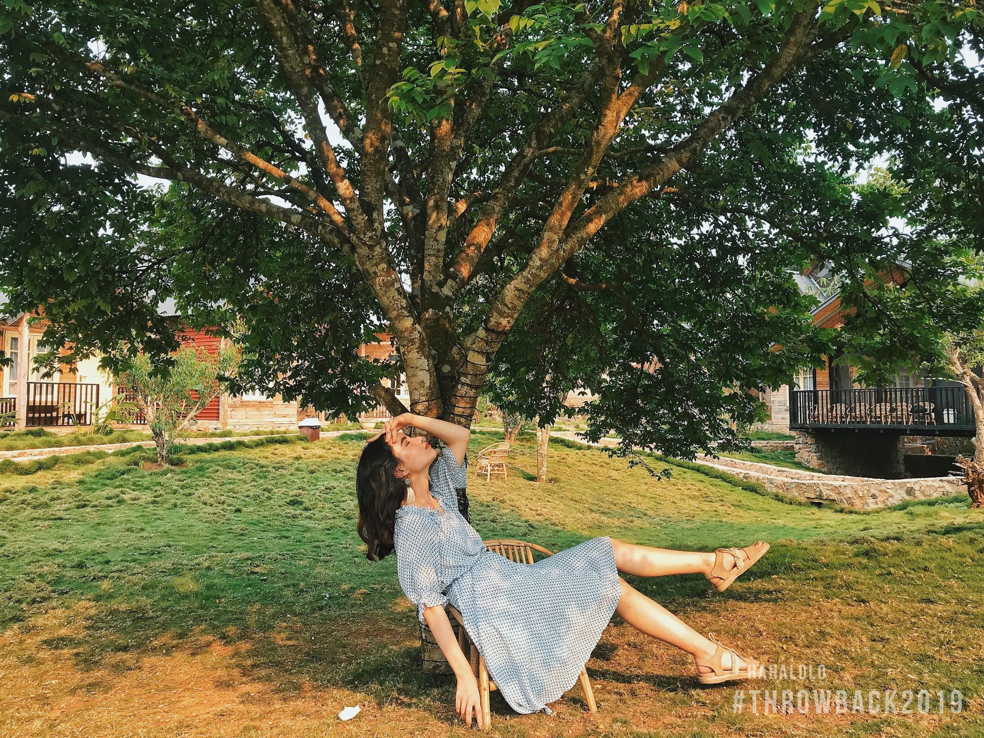 Ve cuon hut cua nhung mien dat qua loat anh nhin lai nam 2019 hinh anh