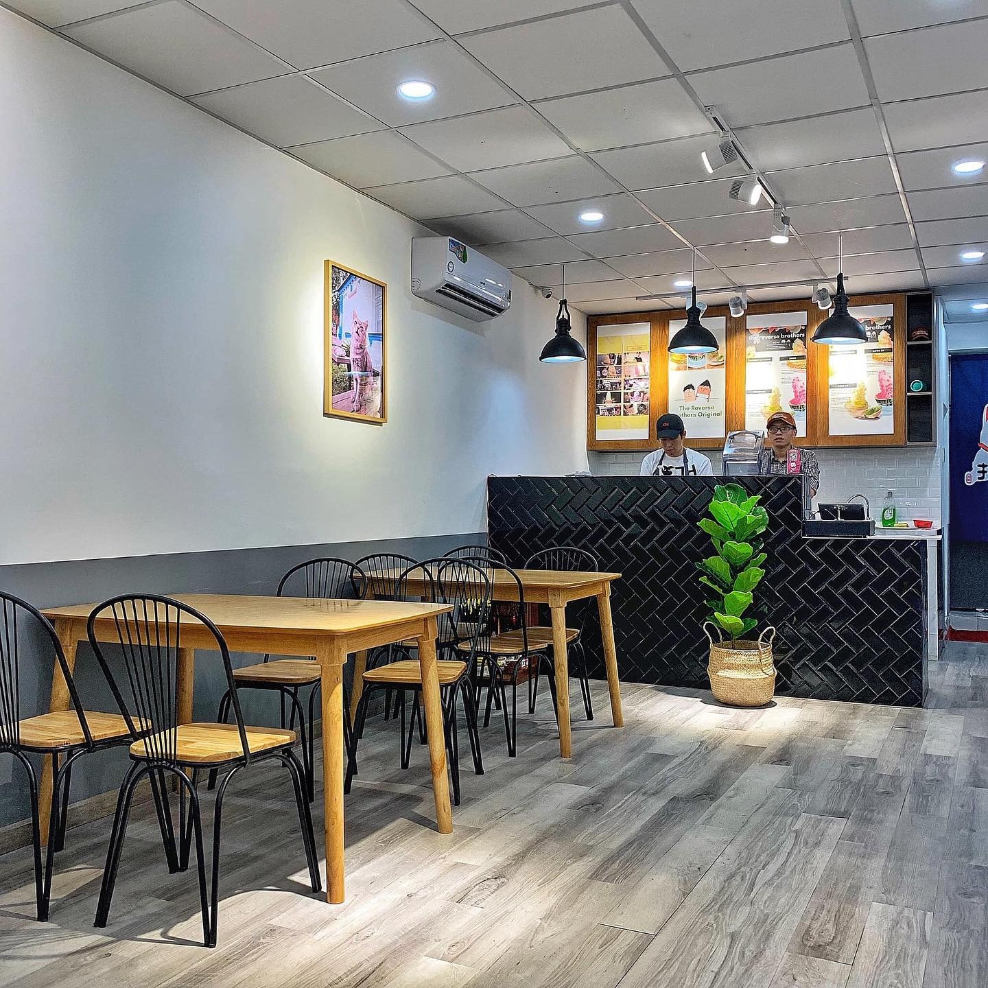 Ngày Lễ Tình nhân ảnh 1 Ngay Le Tinh nhan anh 1