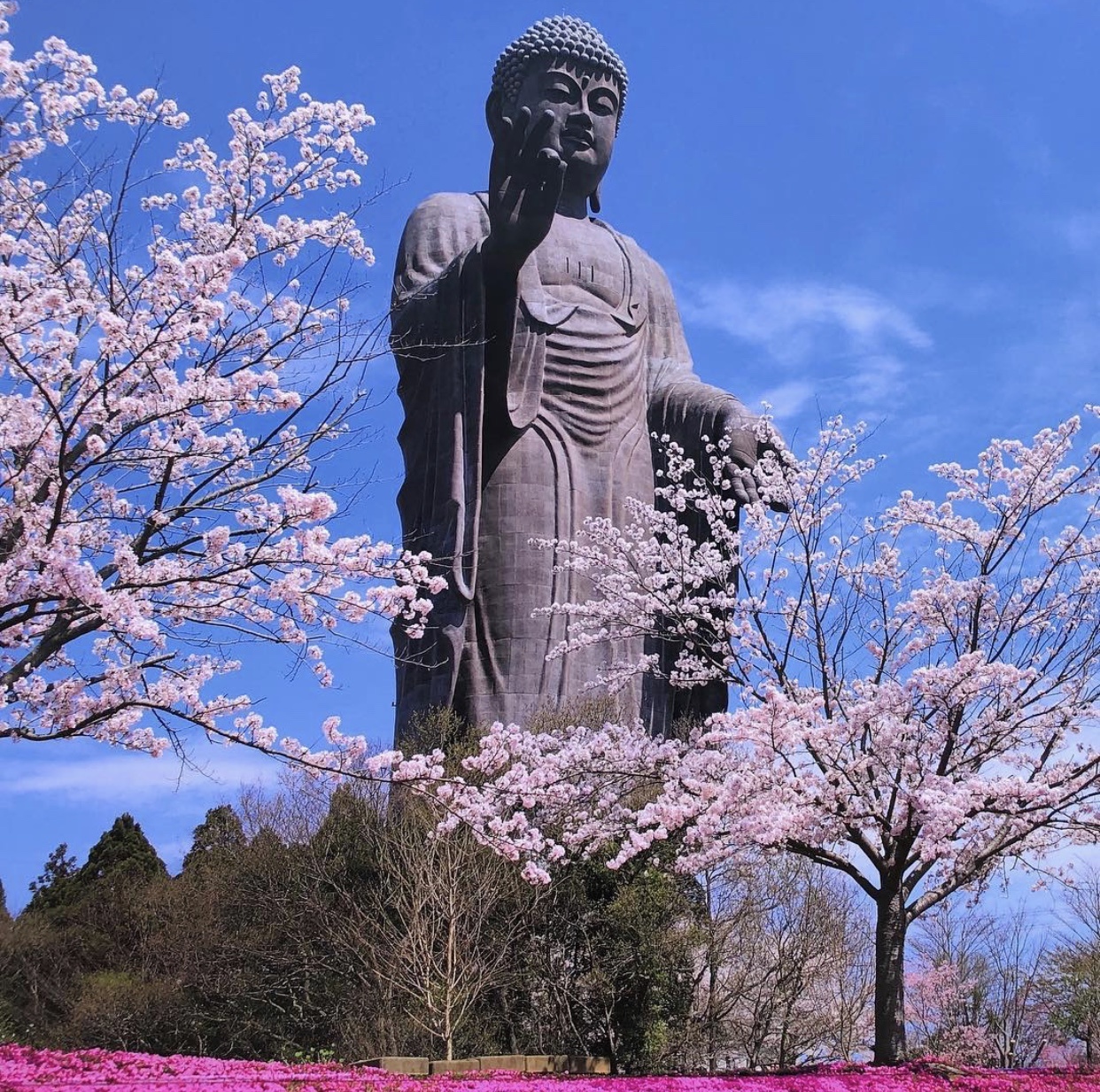 Nhung cong trinh Phat giao noi tieng anh 4