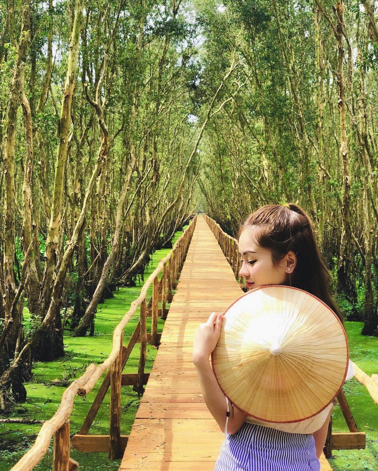 Rừng nguyên sinh miền Tây ảnh 3 Rung nguyen sinh mien Tay anh 3