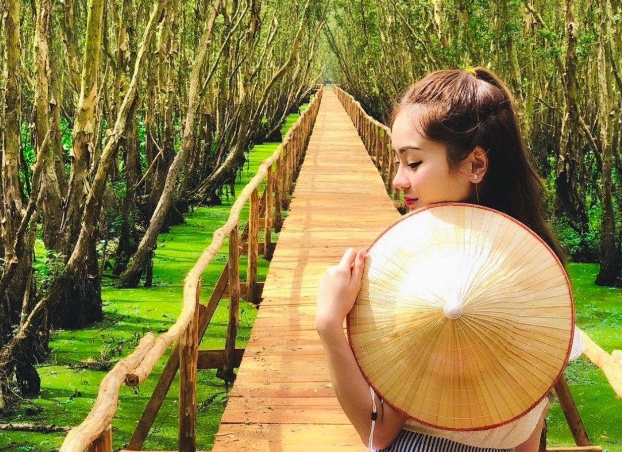 Cau tre xuyen rung dai nhat Viet Nam nam o dau? hinh anh