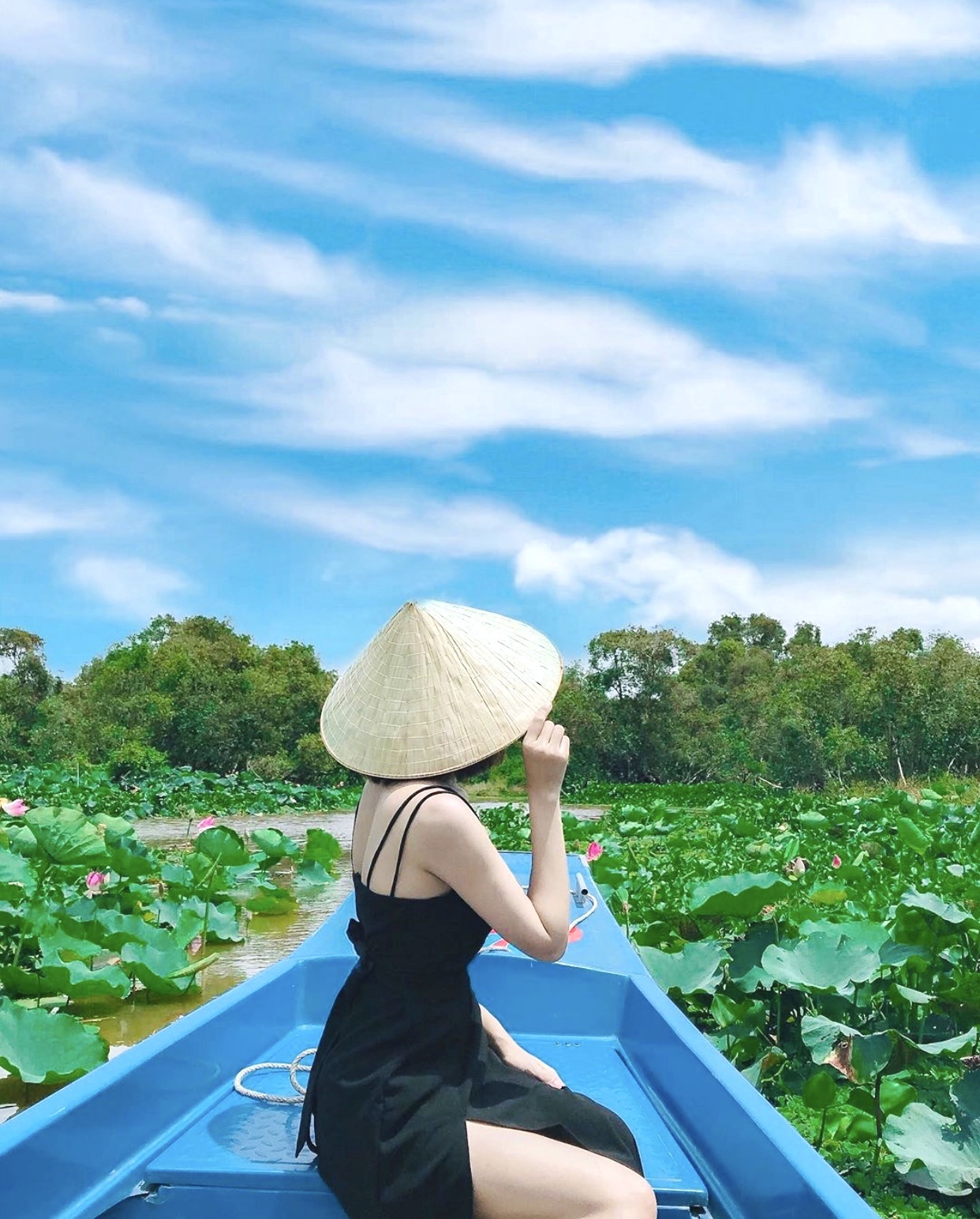 Rừng nguyên sinh miền Tây ảnh 2 Rung nguyen sinh mien Tay anh 2