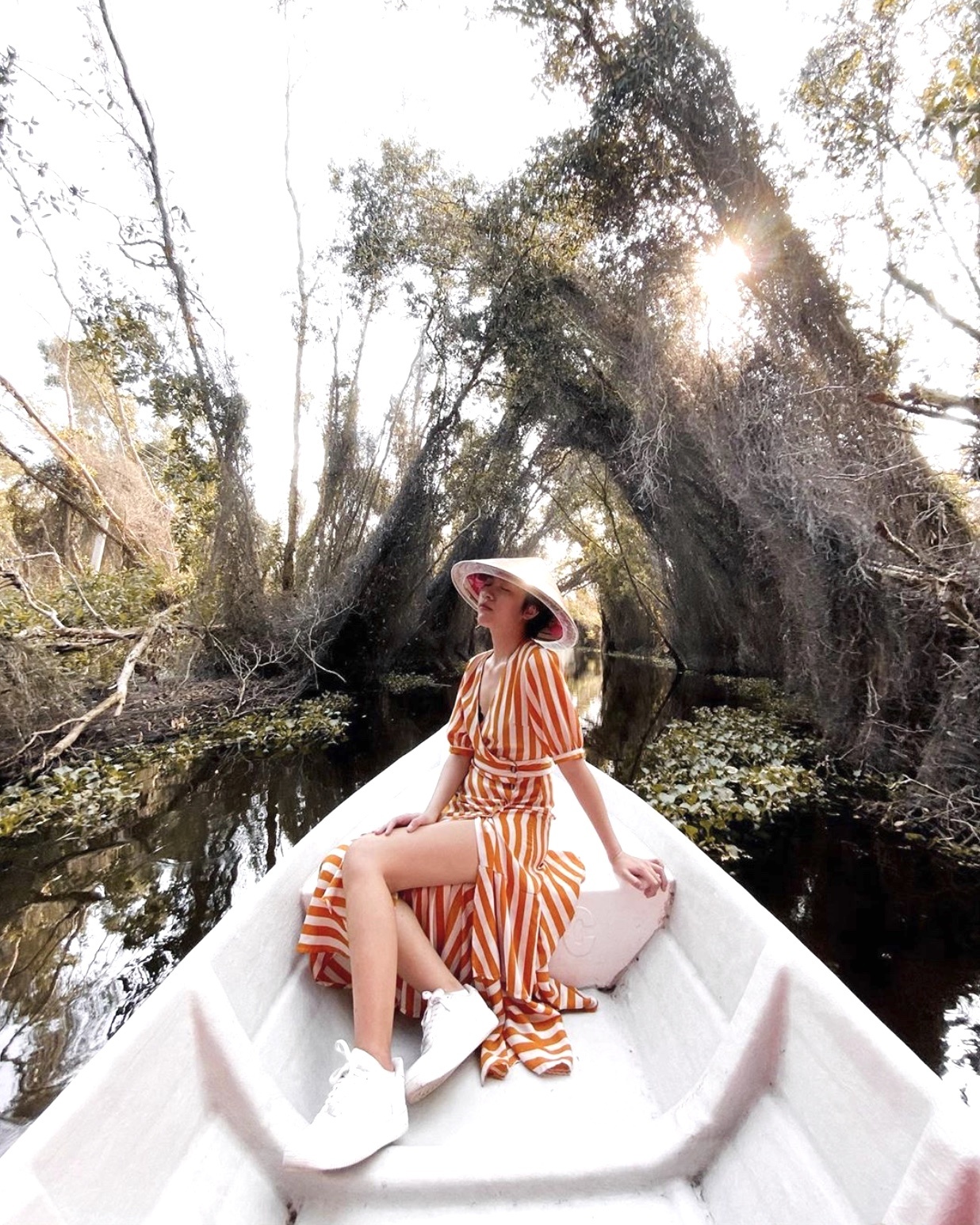 Rừng nguyên sinh miền Tây ảnh 5 Rung nguyen sinh mien Tay anh 5