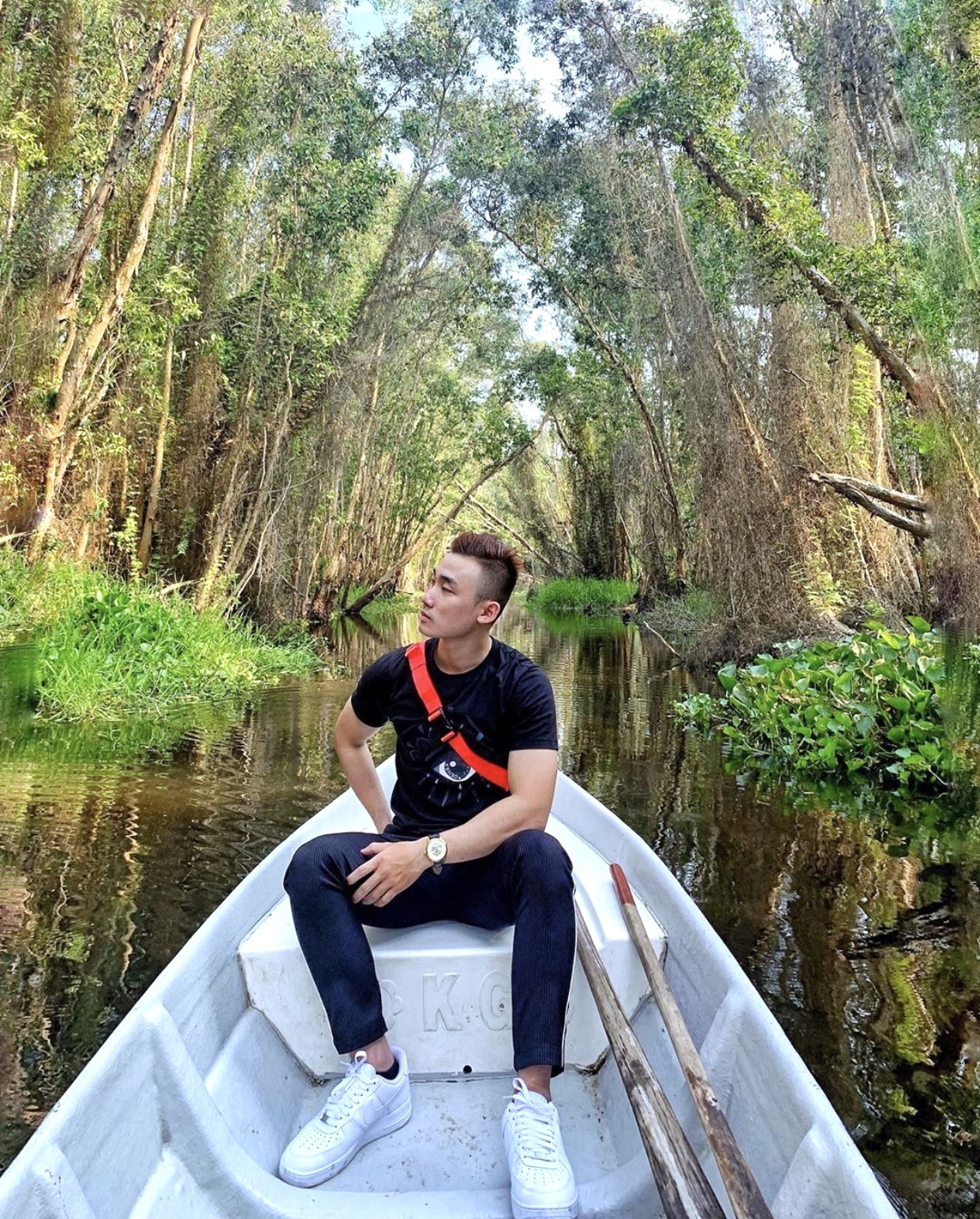 Rừng nguyên sinh miền Tây ảnh 7 Rung nguyen sinh mien Tay anh 7