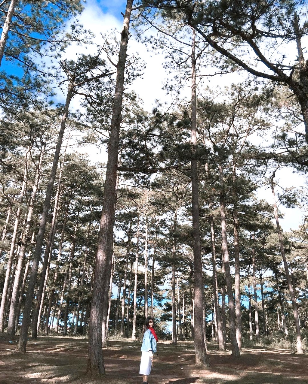 Cac diem du lich ten la o Viet Nam anh 4