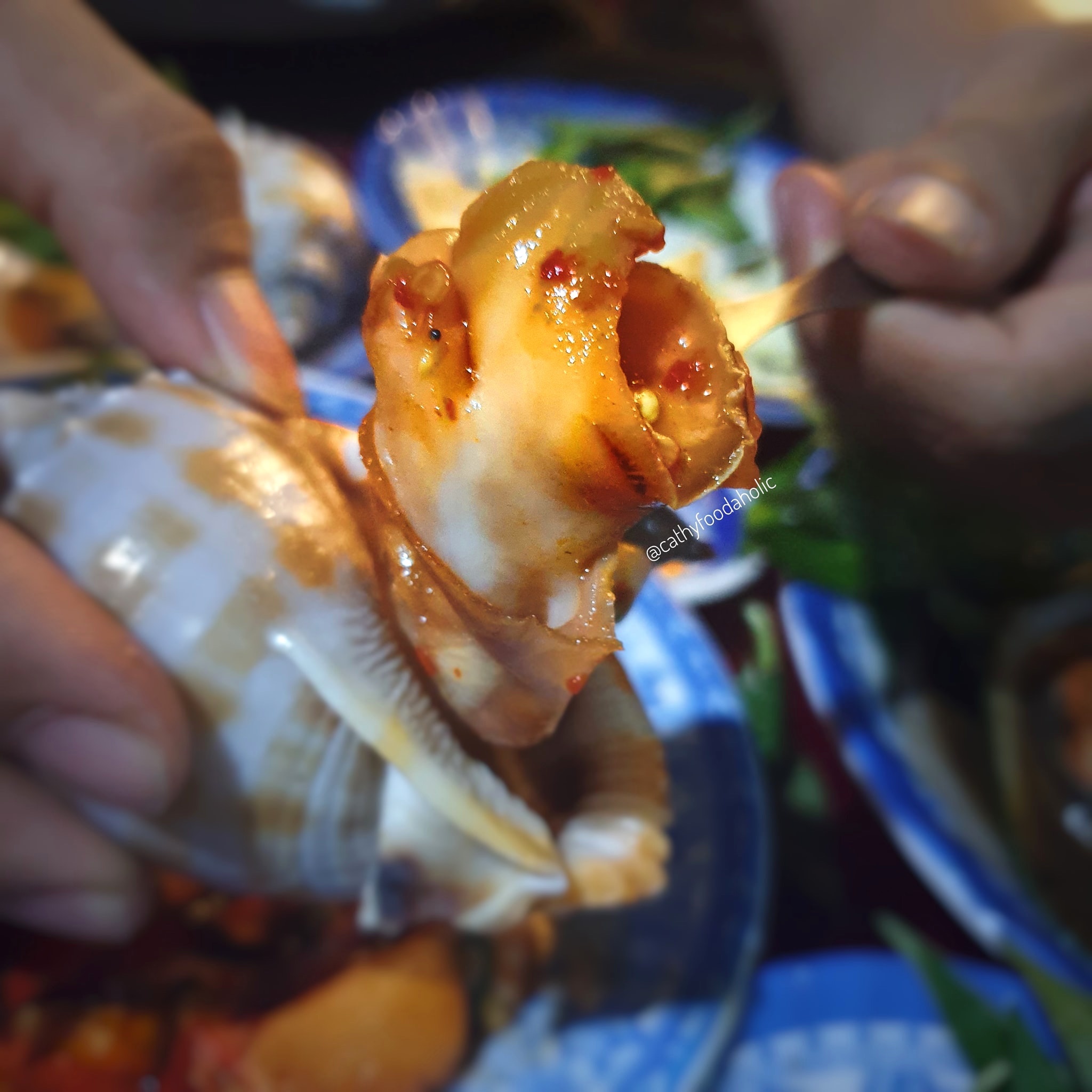 Ốc Sài Gòn ảnh 2 Oc Sai Gon anh 2