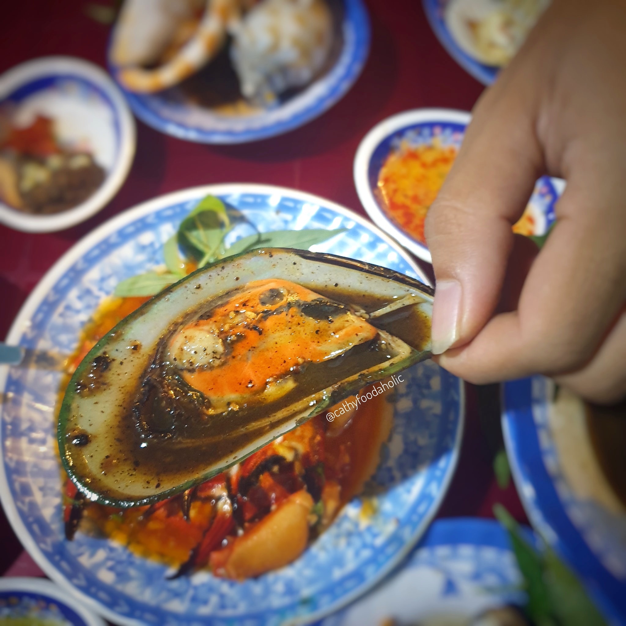 Ốc Sài Gòn ảnh 3 Oc Sai Gon anh 3