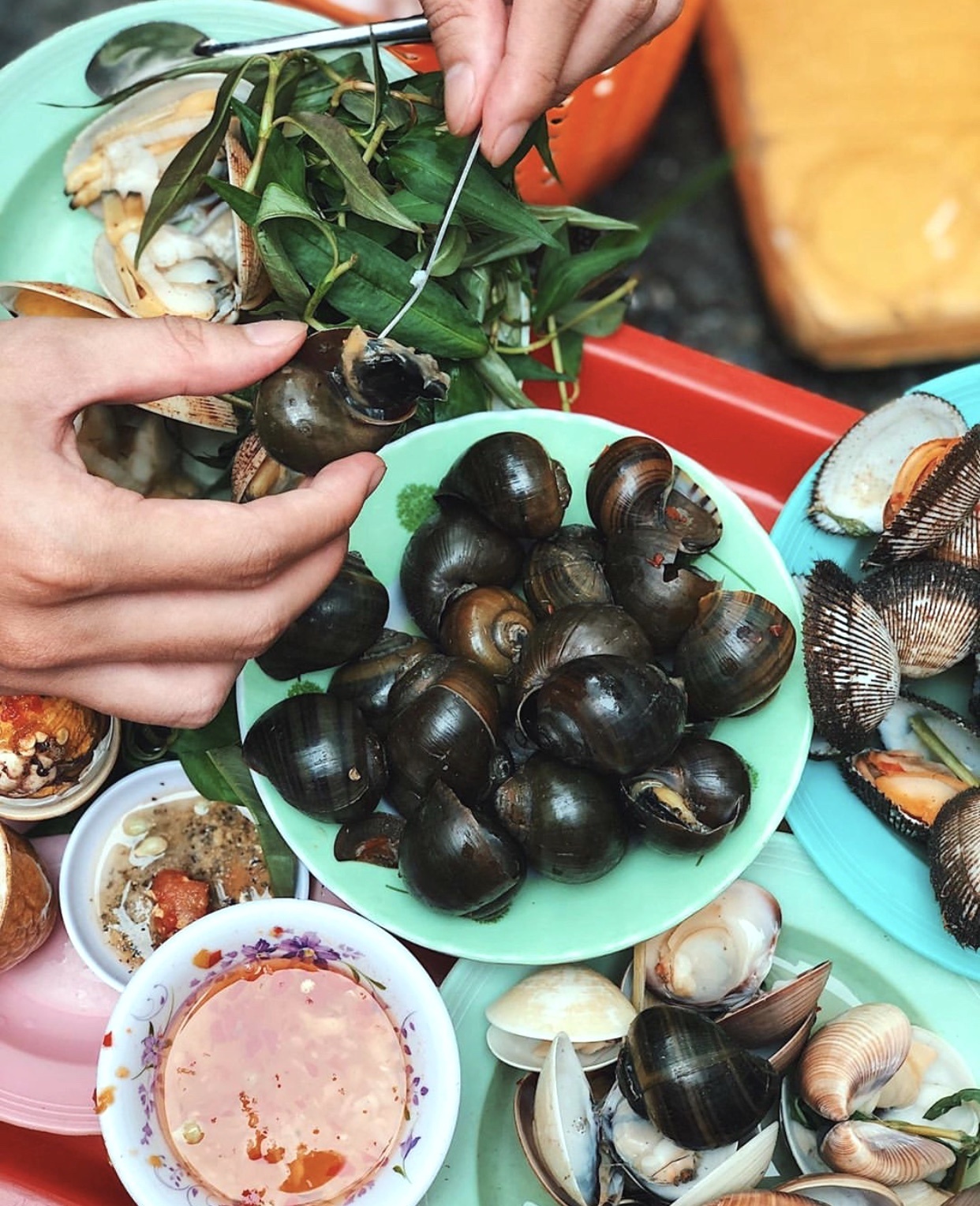 Ốc Sài Gòn ảnh 7 Oc Sai Gon anh 7