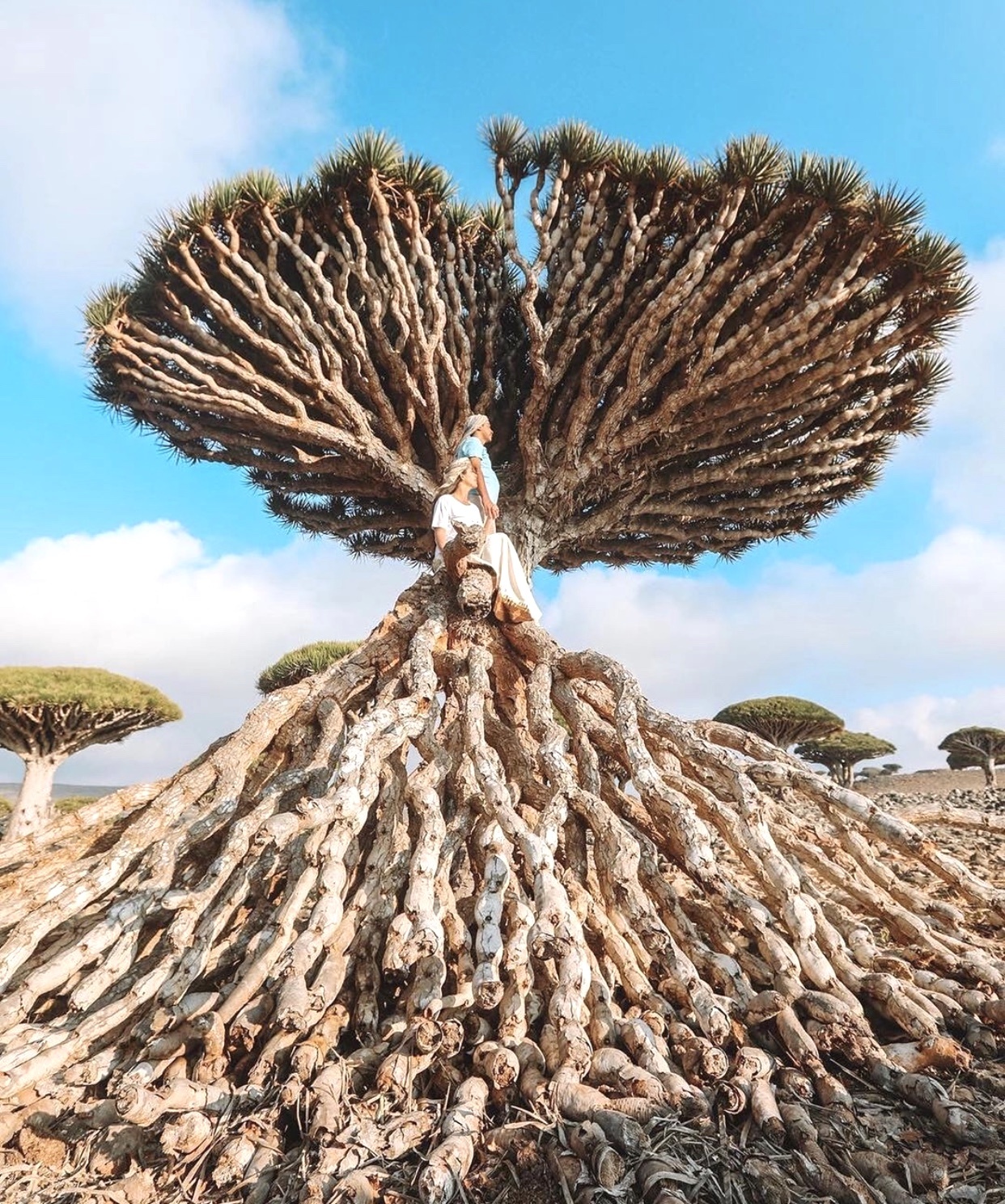 Hon dao noi tieng anh 2