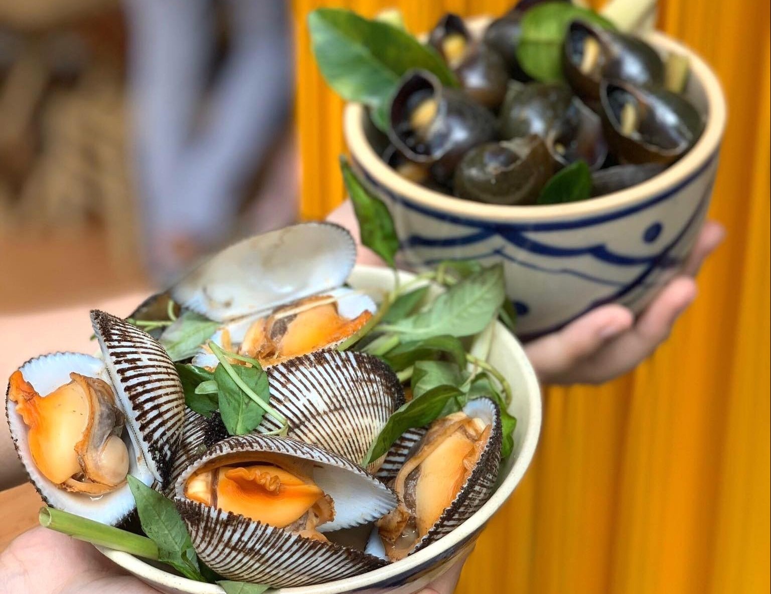 Oc nong va loat mon hut khach o Ha Noi hinh anh