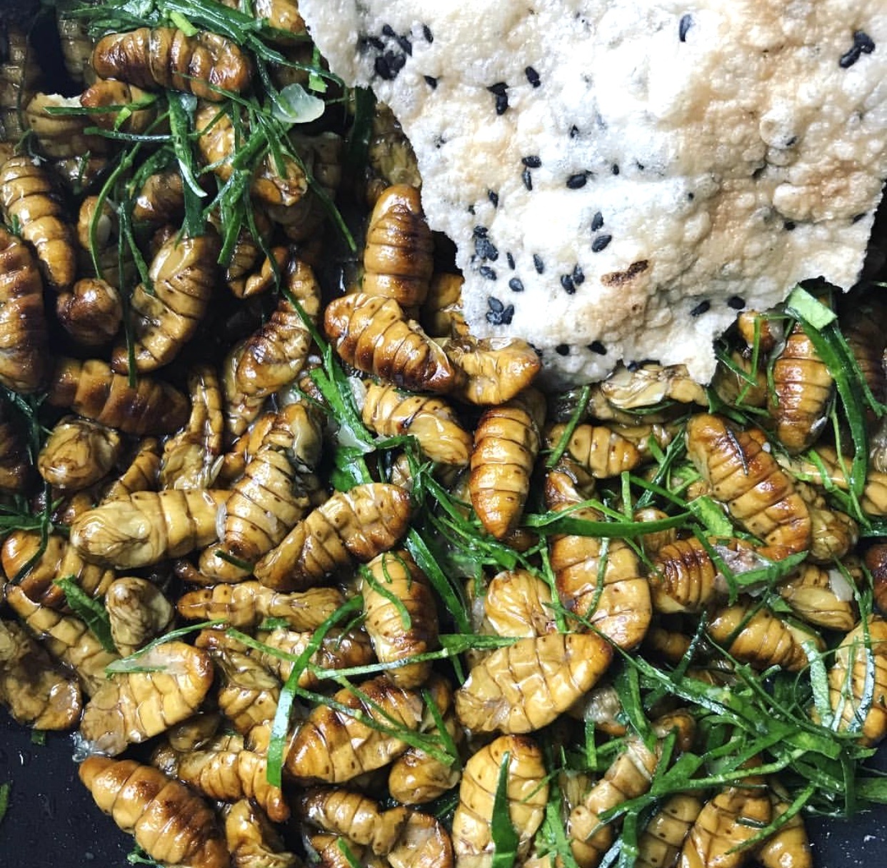 dac san Tay Bac anh 5