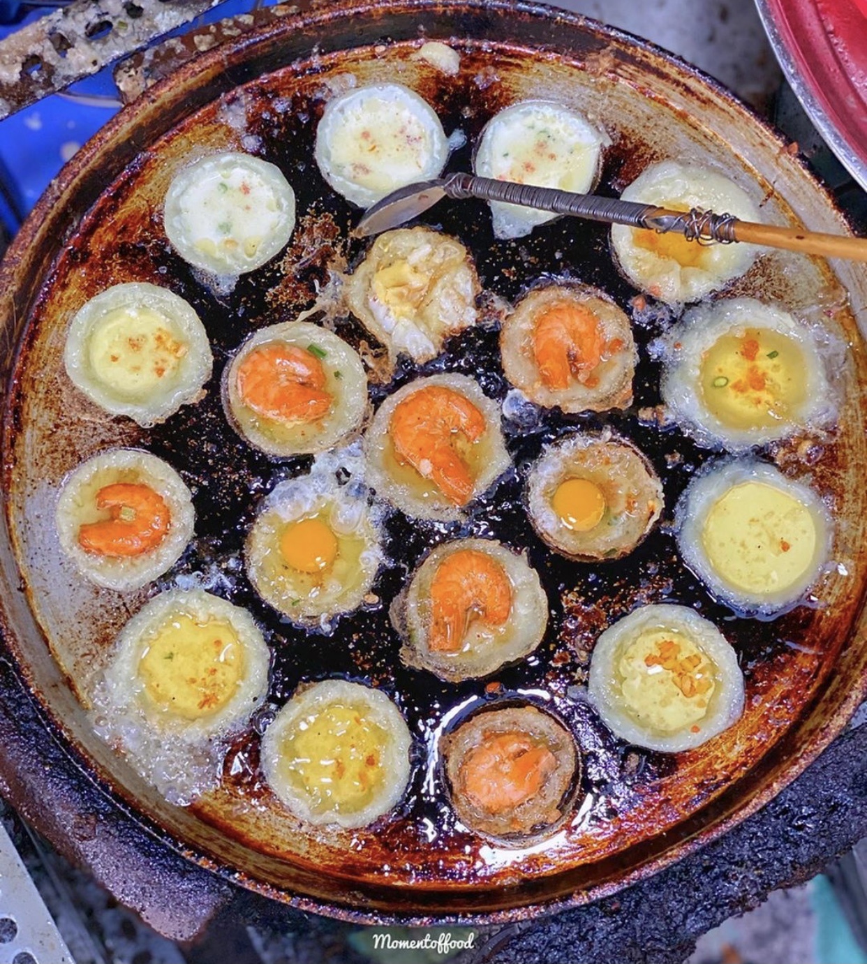 Mon chien an vat anh 5