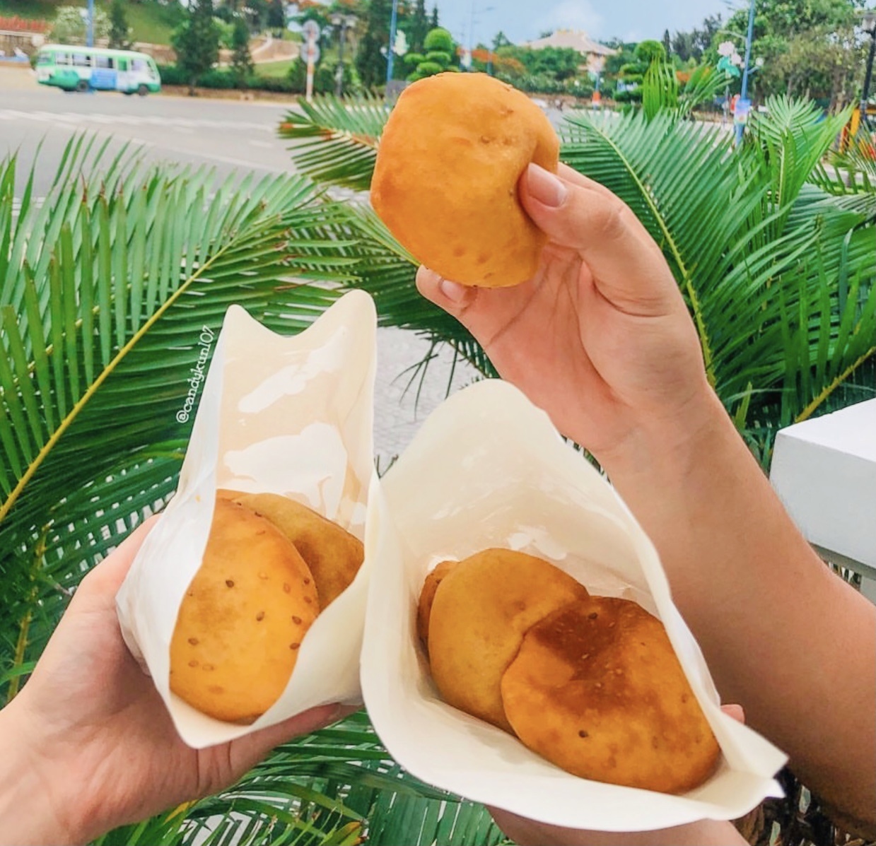 Mon chien an vat anh 4