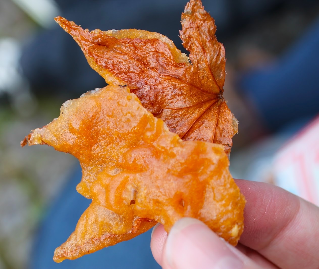 Mon chien an vat anh 1