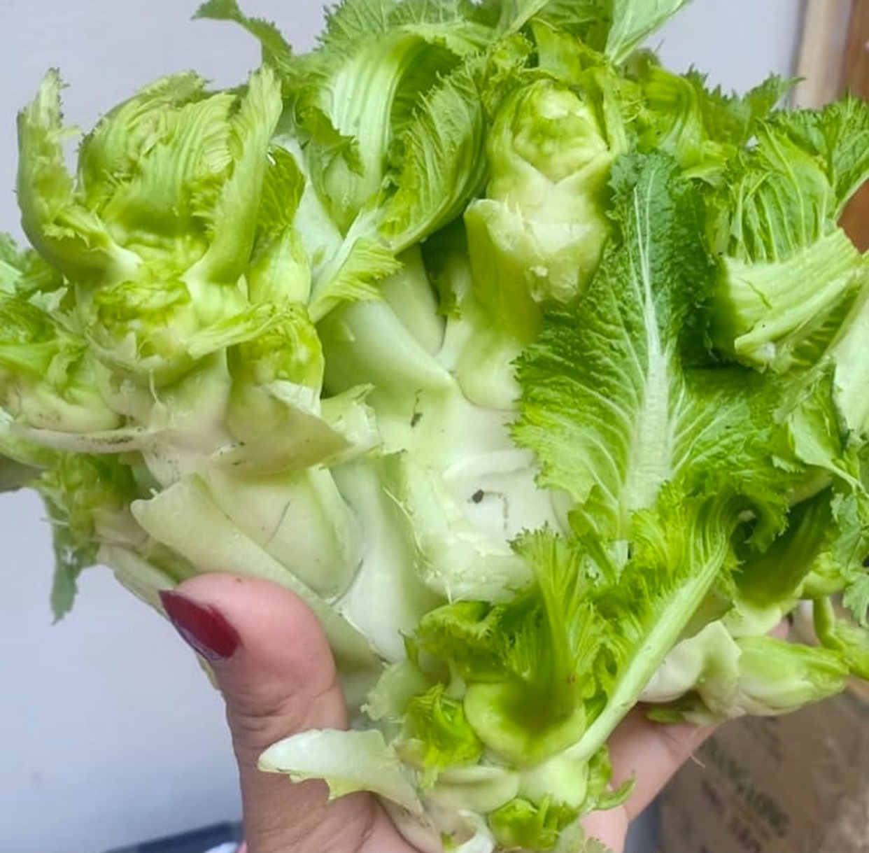 Dac san Viet Nam anh 6