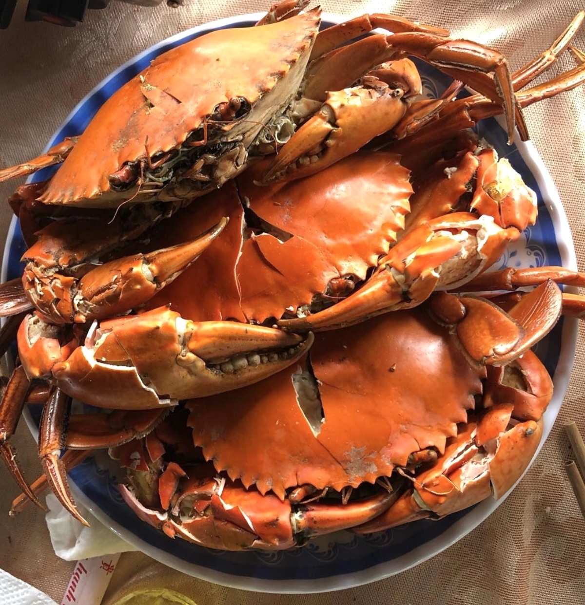 dac san bien Viet Nam anh 1