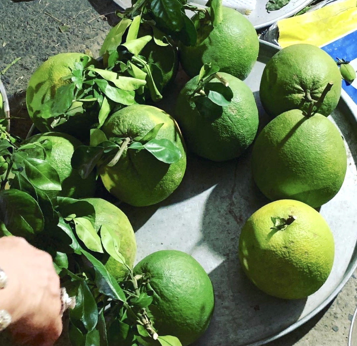 Dac san trai cay Viet Nam anh 4