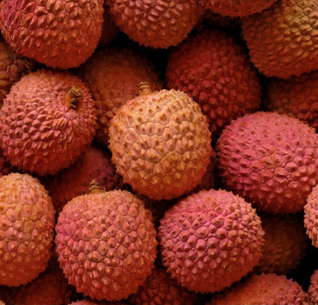 Dac san trai cay Viet Nam anh 7