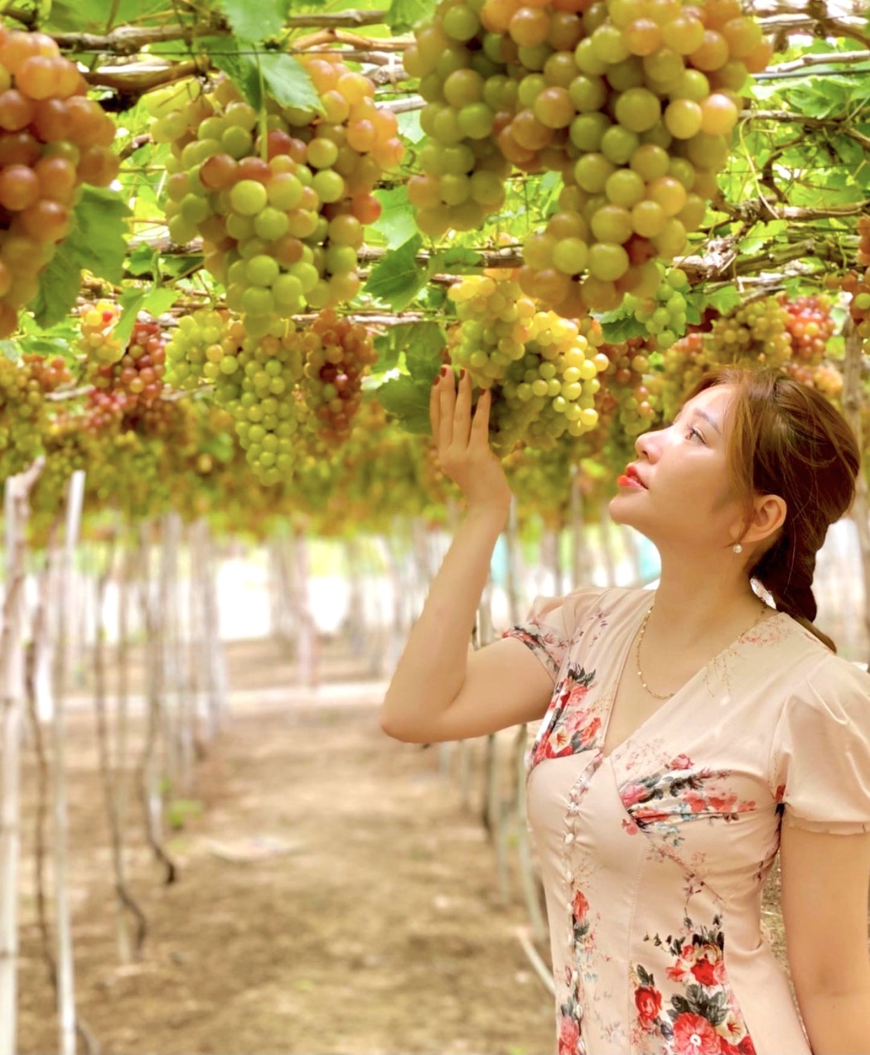 Dac san trai cay Viet Nam anh 1