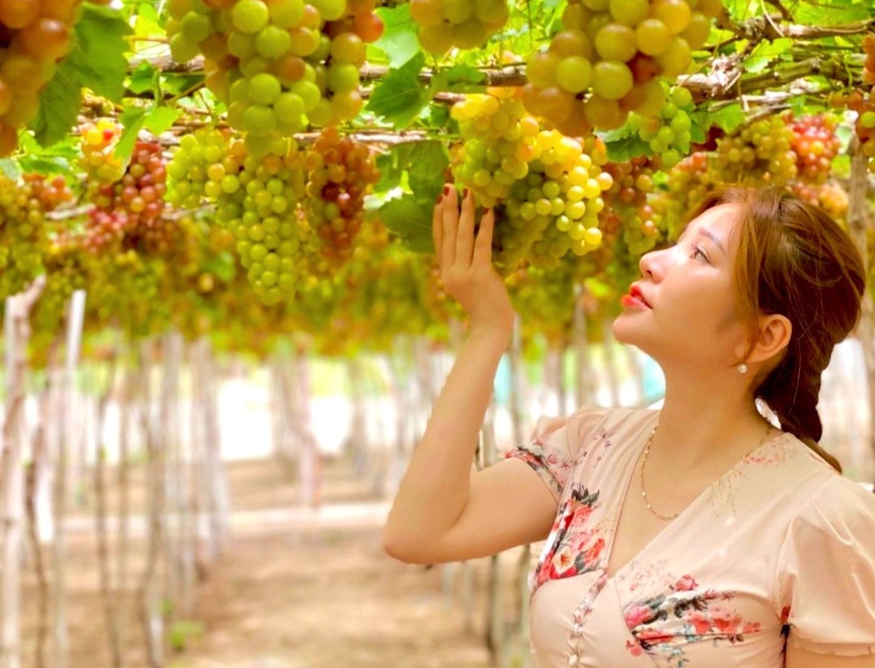 7 dac san trai cay noi tieng Viet Nam hinh anh