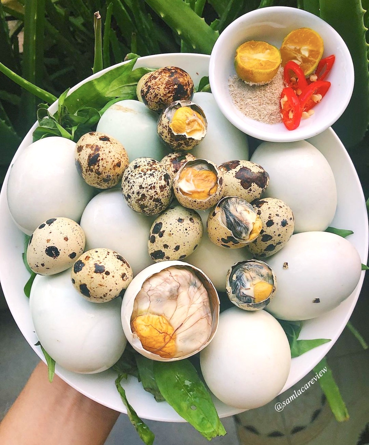 Mon lam tu trung anh 3