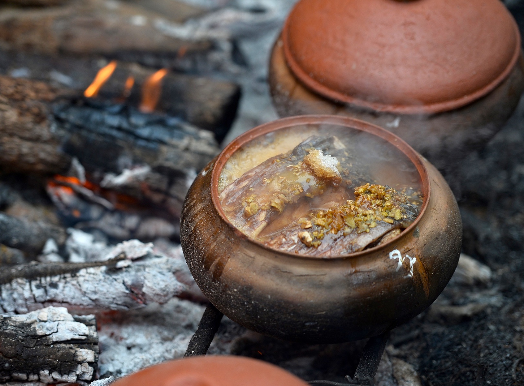 Dac san ca Viet Nam anh 5